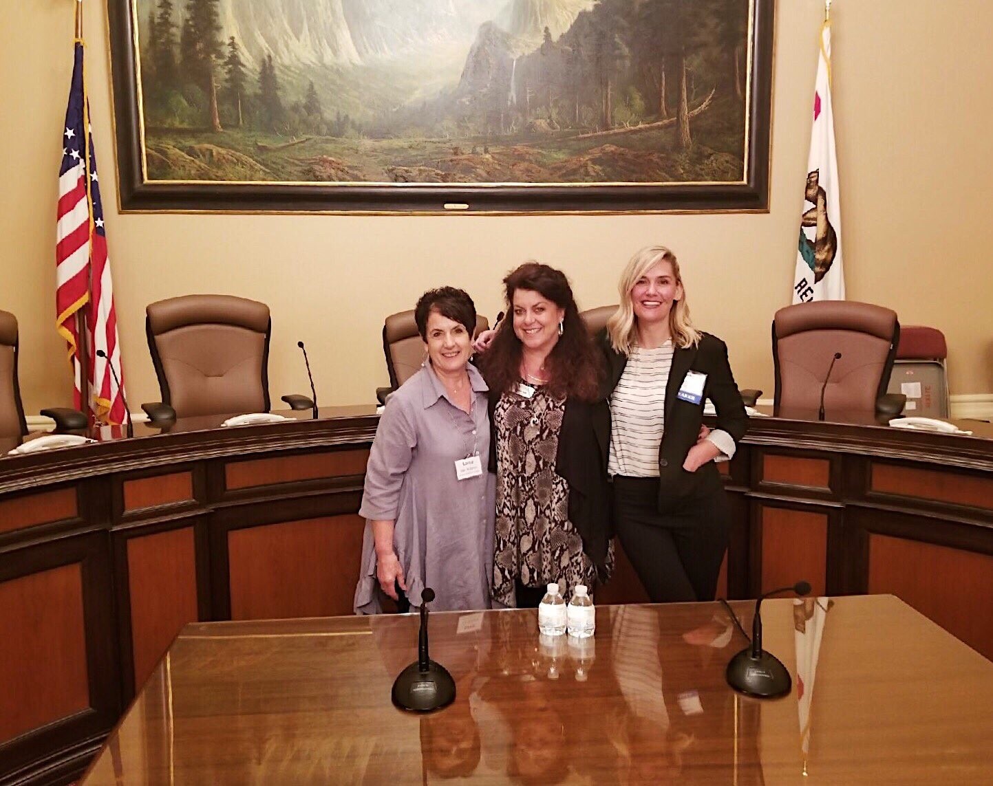 Experienced LTSS advocates Lorna Van Ackeren, Debbie Toth and Amber Christ walked the halls of the Capitol along with many first-time participants